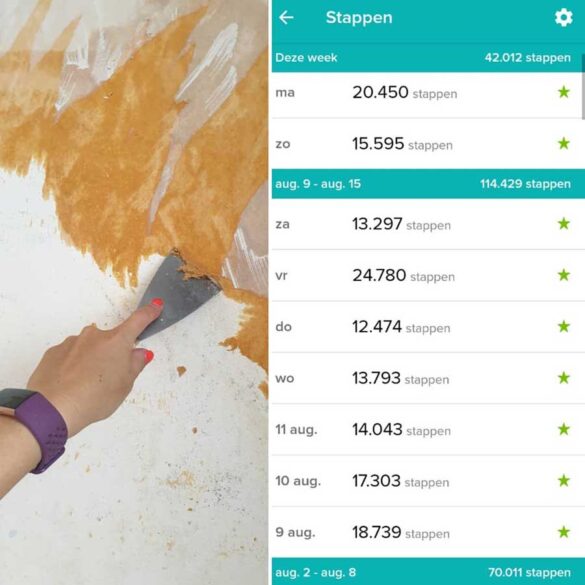 2020-08-18-Fitbit-klussen-900